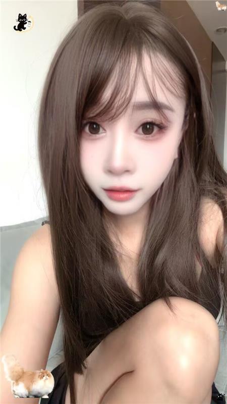 出击南门喵喵
