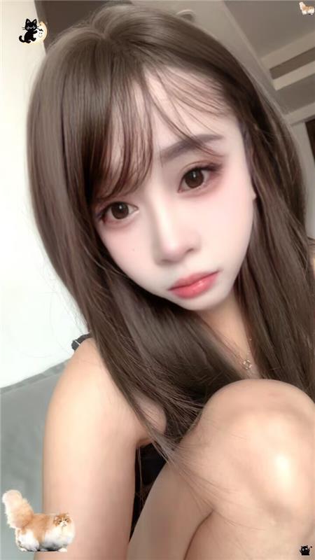 出击南门喵喵