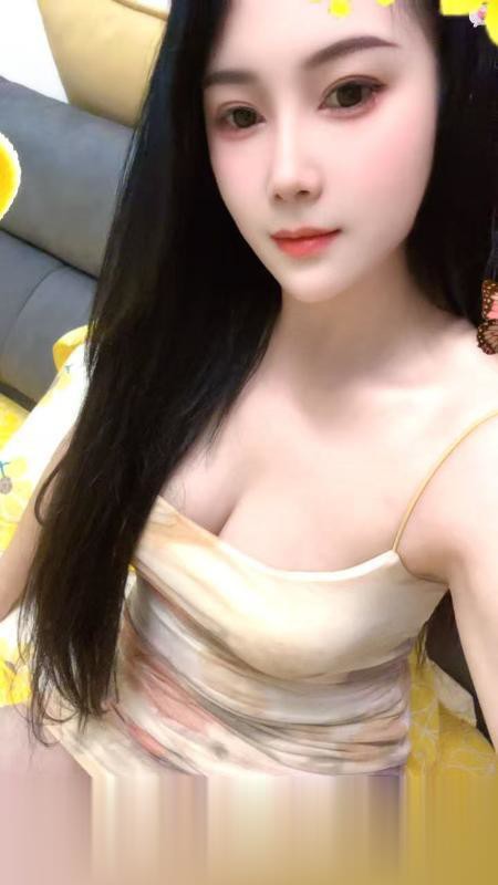 金牌老师 柒月